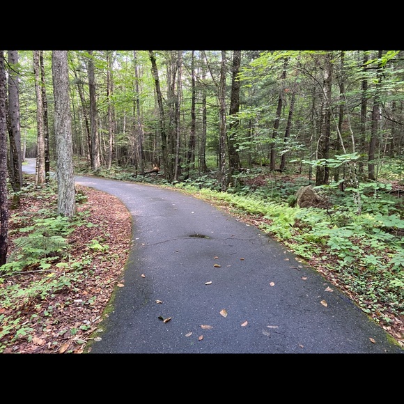 Meet your Posher, Amit - Picture 1 of 1